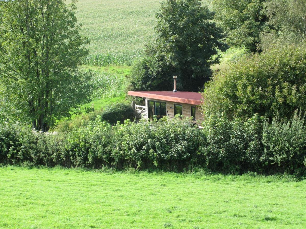 Вілла Stargazing Retreat Merton  Екстер'єр фото